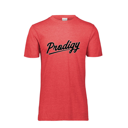 [FTSCUBRD-AS-LOGO2] Decker Men's Tri-Blend T-Shirt - Short Sleeve (Adult S, Red, Logo 2)